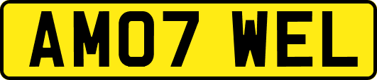 AM07WEL
