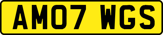 AM07WGS