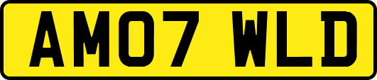 AM07WLD
