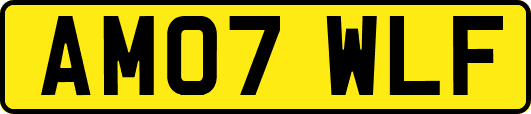 AM07WLF