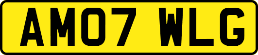AM07WLG