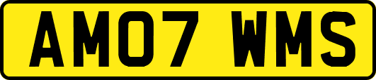 AM07WMS