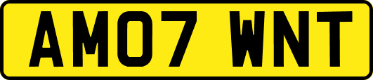 AM07WNT
