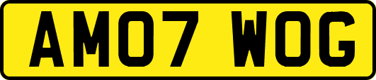 AM07WOG