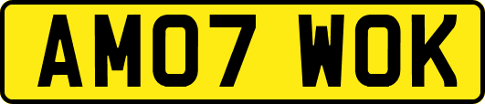 AM07WOK