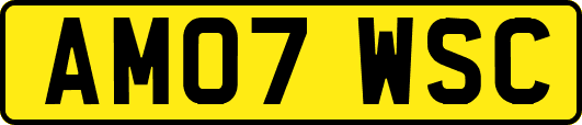 AM07WSC