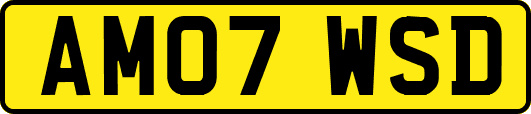 AM07WSD