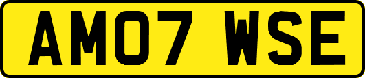 AM07WSE
