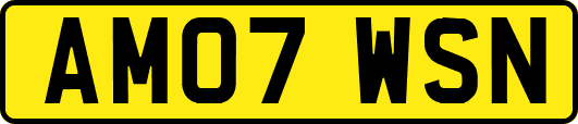 AM07WSN