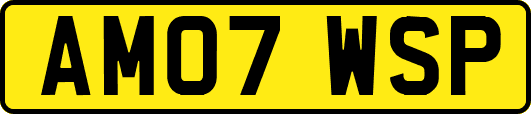AM07WSP