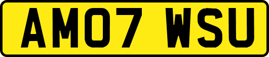 AM07WSU