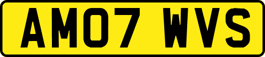 AM07WVS