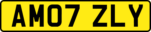 AM07ZLY