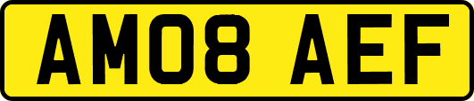AM08AEF