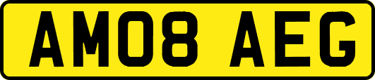AM08AEG