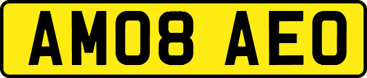 AM08AEO