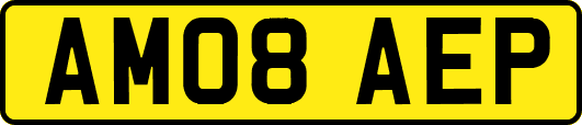 AM08AEP