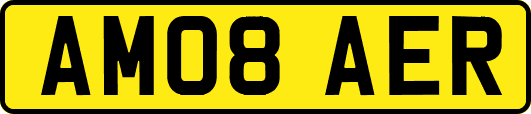 AM08AER
