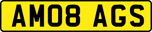AM08AGS