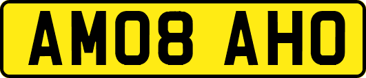 AM08AHO