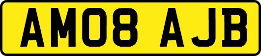 AM08AJB