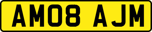AM08AJM