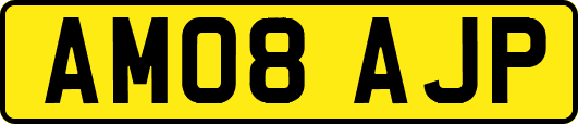 AM08AJP