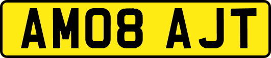 AM08AJT