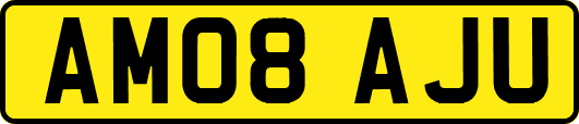 AM08AJU