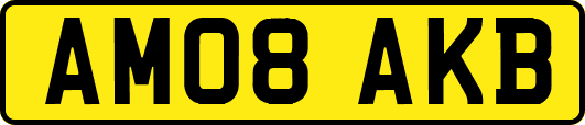 AM08AKB