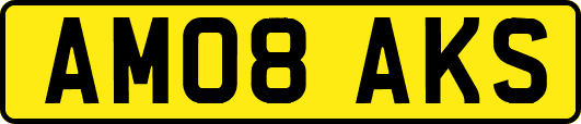 AM08AKS