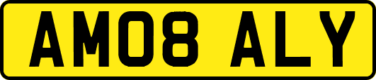 AM08ALY