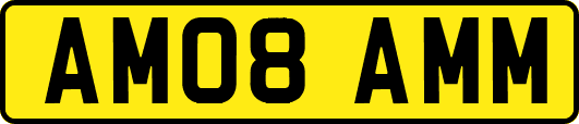 AM08AMM