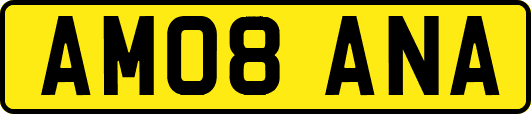 AM08ANA