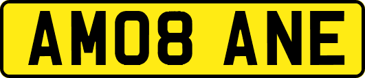 AM08ANE