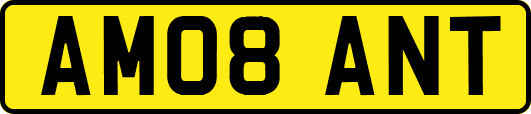 AM08ANT