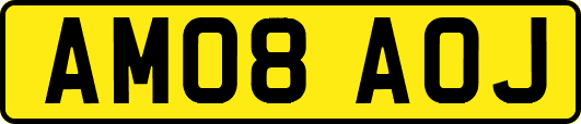 AM08AOJ
