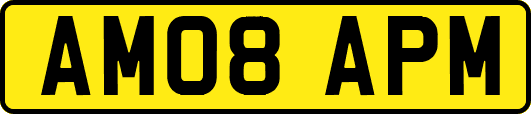 AM08APM