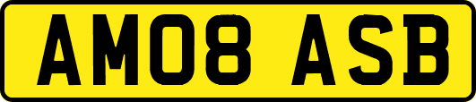 AM08ASB