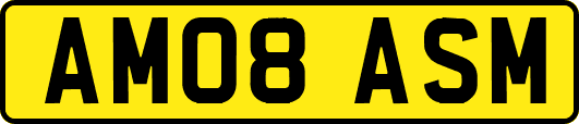 AM08ASM