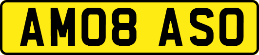 AM08ASO