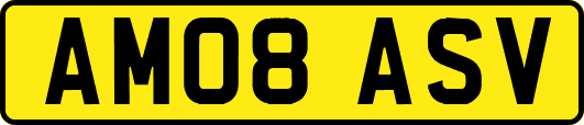 AM08ASV