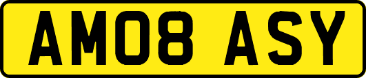 AM08ASY