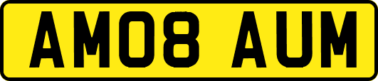 AM08AUM