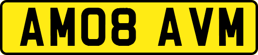 AM08AVM