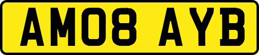 AM08AYB