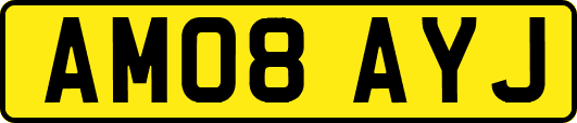 AM08AYJ