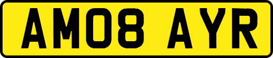 AM08AYR