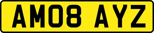 AM08AYZ