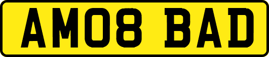 AM08BAD